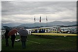 IMG_7909.jpg