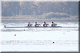 CEC_0078.jpg