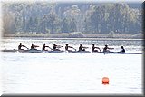 CEC_0921.jpg