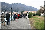 IMG_8585.jpg