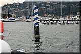IMG_8593.jpg