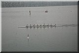 IMG_9925.JPG