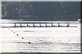 CEC_3537.JPG
