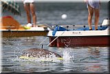 CEC_0090.JPG