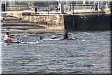 CEC_5560.jpg