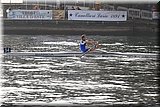 CEC_5569.jpg
