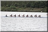 CEC_3640.JPG