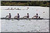 CEC_3666.JPG