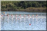 CEC_4745.JPG