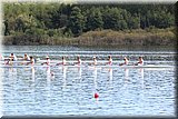 CEC_4747.JPG
