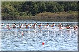 CEC_4755.JPG