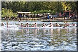CEC_4771.JPG