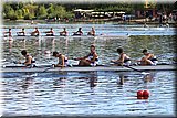 CEC_4784.JPG