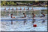 CEC_4787.JPG