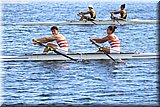 CEC_4819.JPG