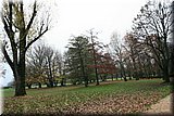 IMG_2138.jpg