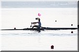 CEC_4141.jpg