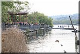 IMG_5184.jpg