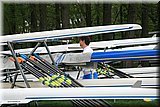 IMG_5412.jpg
