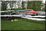 IMG_5436.jpg
