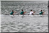 CEC_3087.jpg
