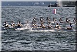 CEC_1064.jpg