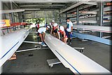 IMG_8803.jpg