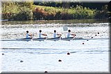 CEC_0391.jpg