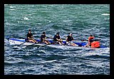IMG_7519.jpg