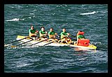 IMG_7521.jpg