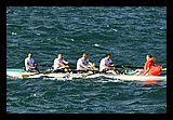 IMG_7529.jpg