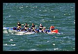 IMG_7530.jpg