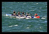IMG_7531.jpg