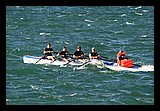 IMG_7532.jpg