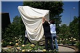IMG_223].jpg